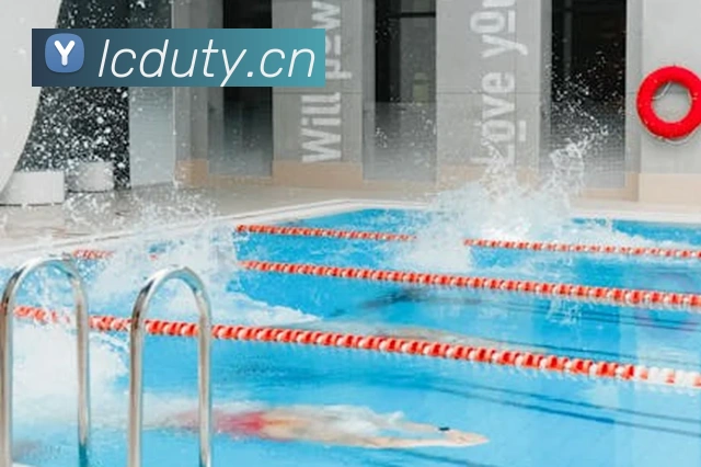 App Interface Preview